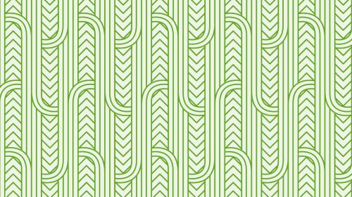 Asset 62x Maori