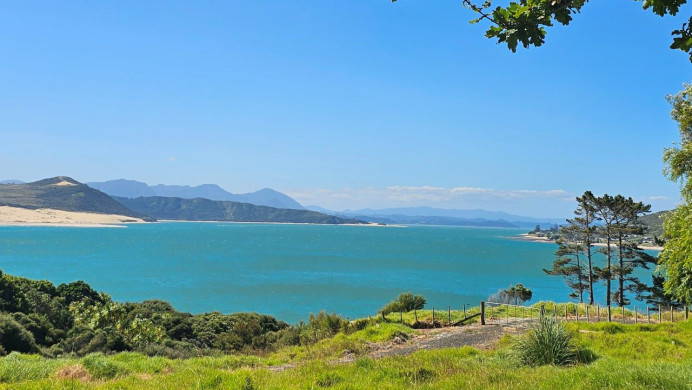 Image of the ocean taken from a hill with tree leaves in the foreground, representing Environment Māori unit standards