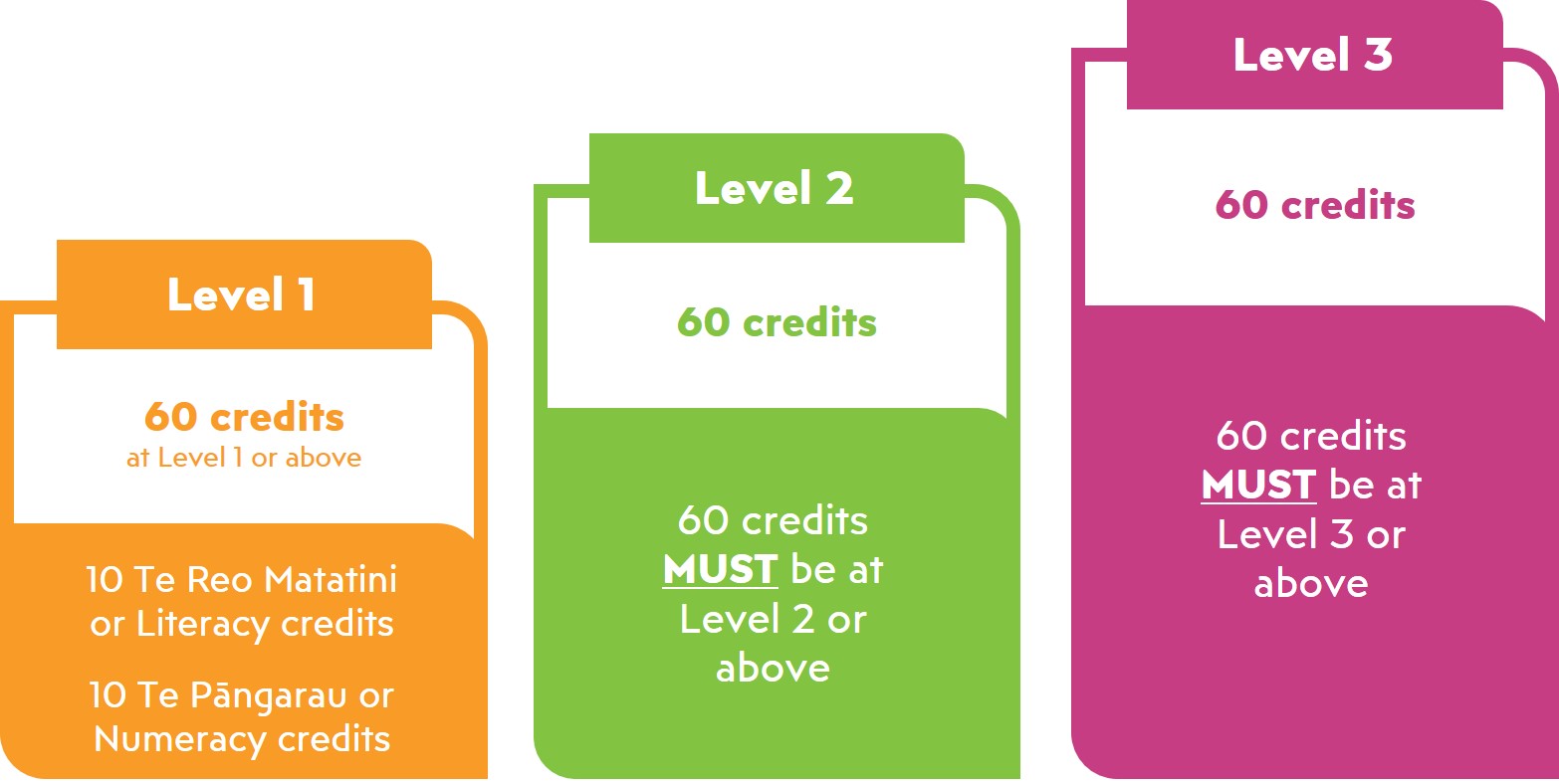 At each level of NCEA, you need to earn 60 credits at that level or above. For example, at Level 1, you need 60 credits at Level 1 or above.   You also need to achieve a 20-credit Te Reo Matatini me te Pāngarau or Literacy and Numeracy co-requisite.  You only need to achieve the co-requisite once.