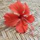 Hibiscus flower rests on a woven mat